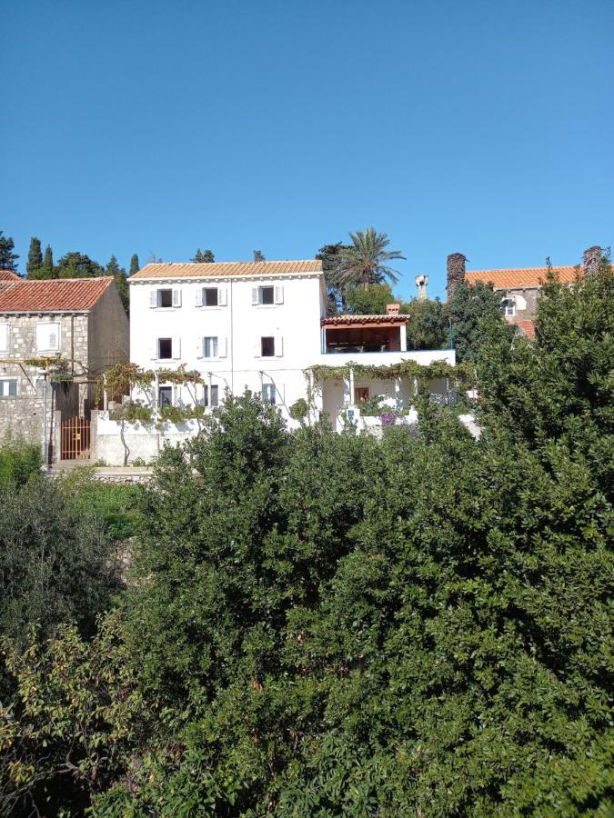 Villa Sea Dream Kolocep Gornje Celo Luaran gambar