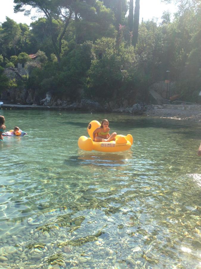 Villa Sea Dream Kolocep Gornje Celo Luaran gambar
