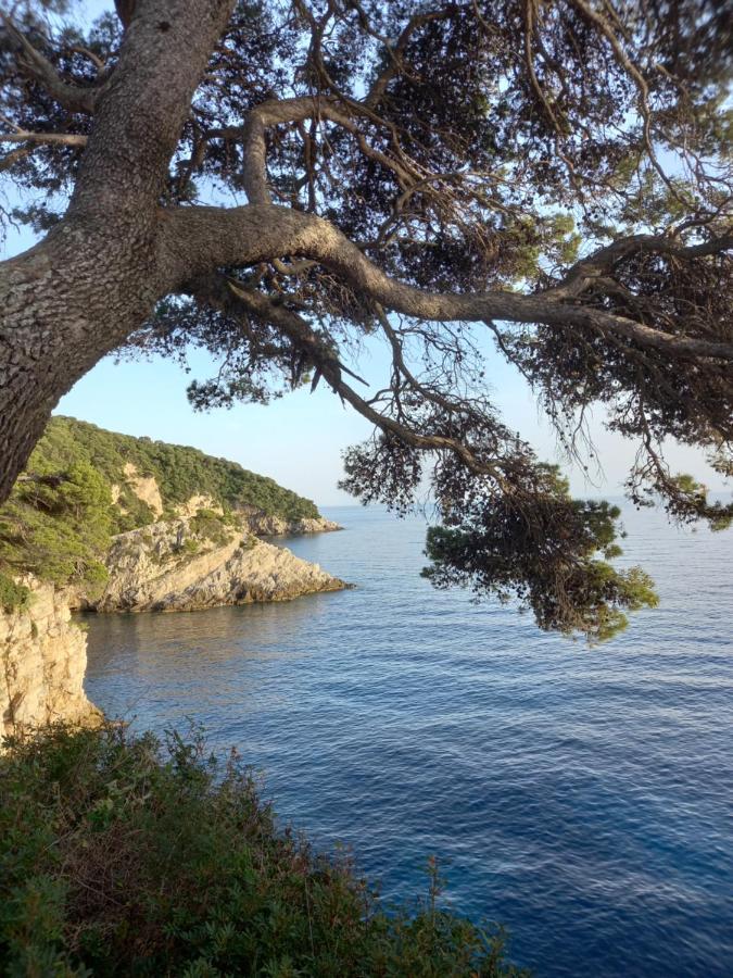 Villa Sea Dream Kolocep Gornje Celo Luaran gambar