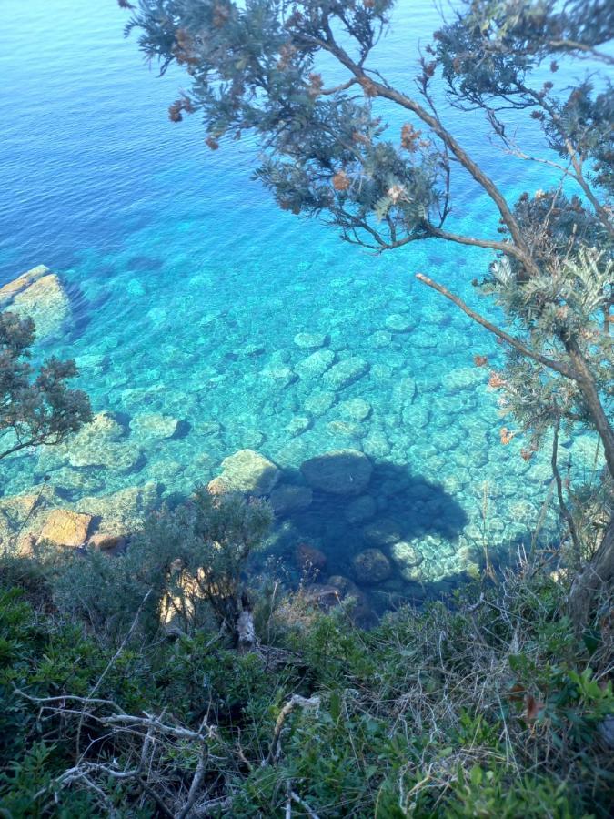 Villa Sea Dream Kolocep Gornje Celo Luaran gambar