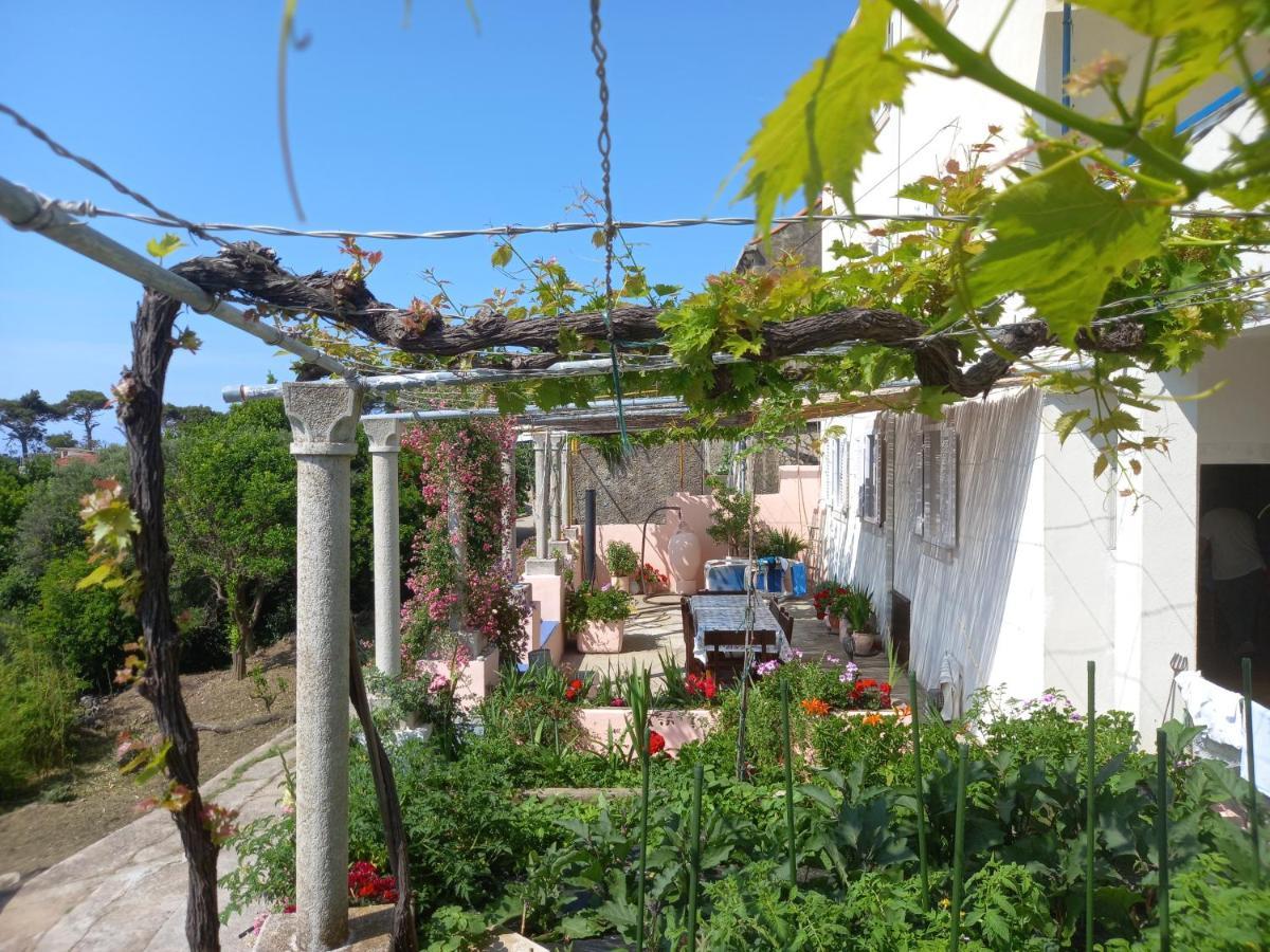 Villa Sea Dream Kolocep Gornje Celo Luaran gambar