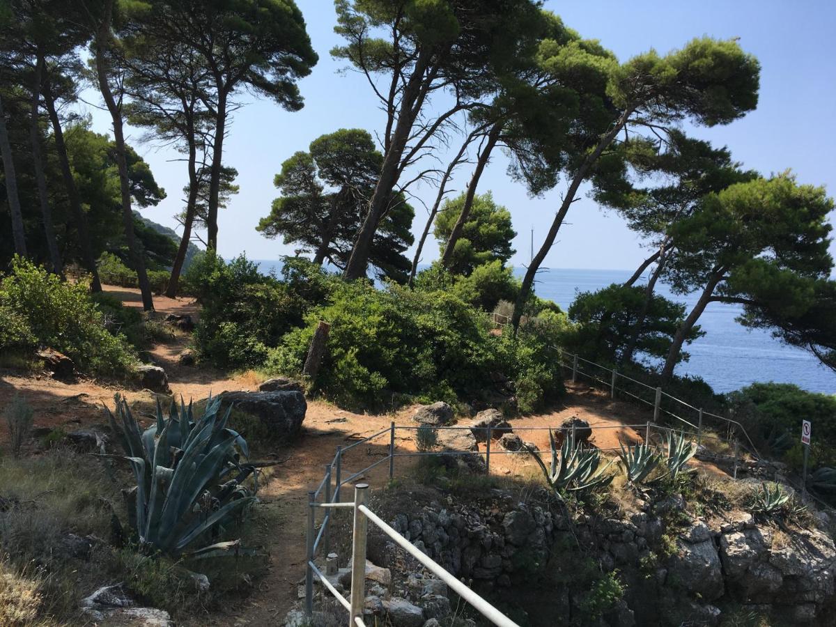 Villa Sea Dream Kolocep Gornje Celo Luaran gambar
