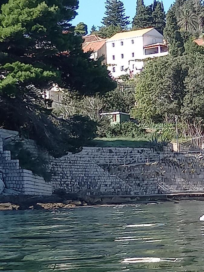 Villa Sea Dream Kolocep Gornje Celo Luaran gambar