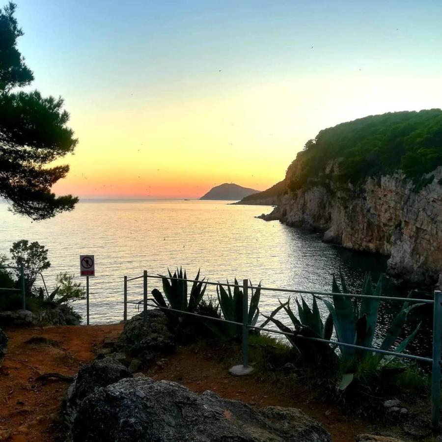Villa Sea Dream Kolocep Gornje Celo Luaran gambar